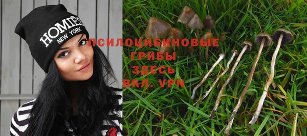 прущие крисы Белокуриха