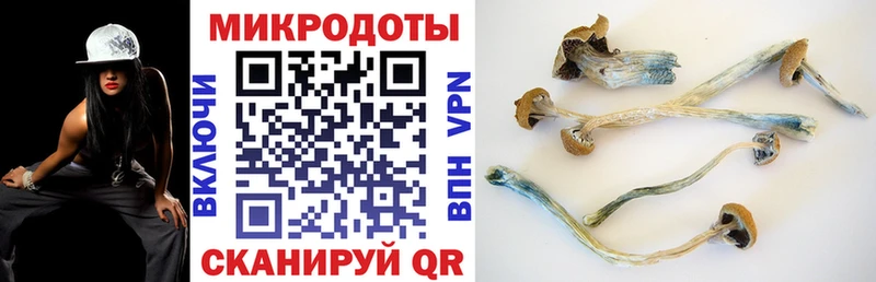 OMG онион  Завитинск  Псилоцибиновые грибы прущие грибы 