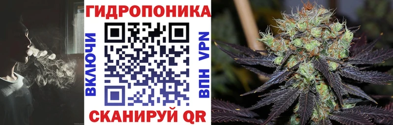 blacksprut зеркало  Завитинск  Марихуана VHQ 